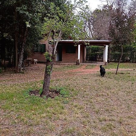 Cabana En Quinta La Aurora ミナ・クラベロ エクステリア 写真