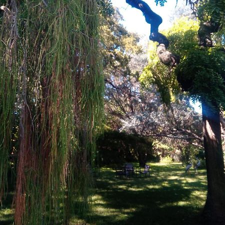 Cabana En Quinta La Aurora ミナ・クラベロ エクステリア 写真