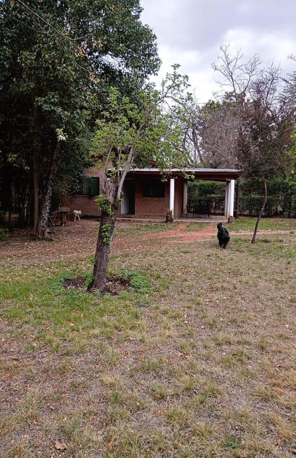 Cabana En Quinta La Aurora ミナ・クラベロ エクステリア 写真