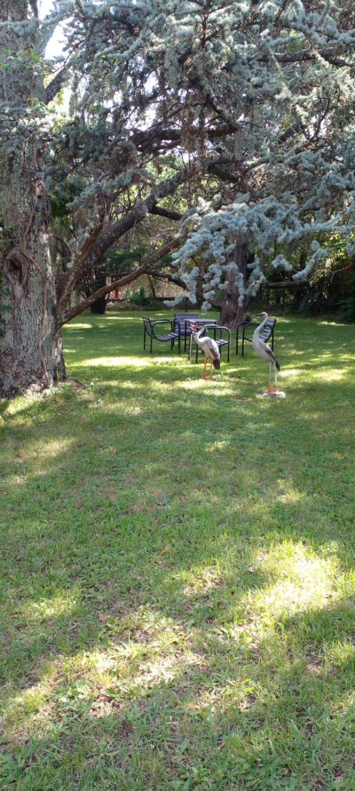Cabana En Quinta La Aurora ミナ・クラベロ エクステリア 写真