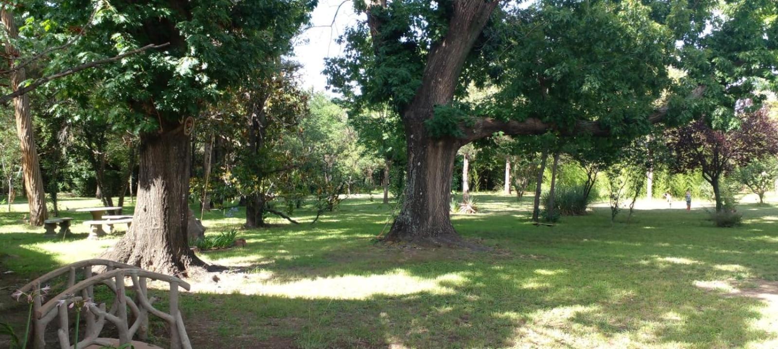 Cabana En Quinta La Aurora ミナ・クラベロ エクステリア 写真