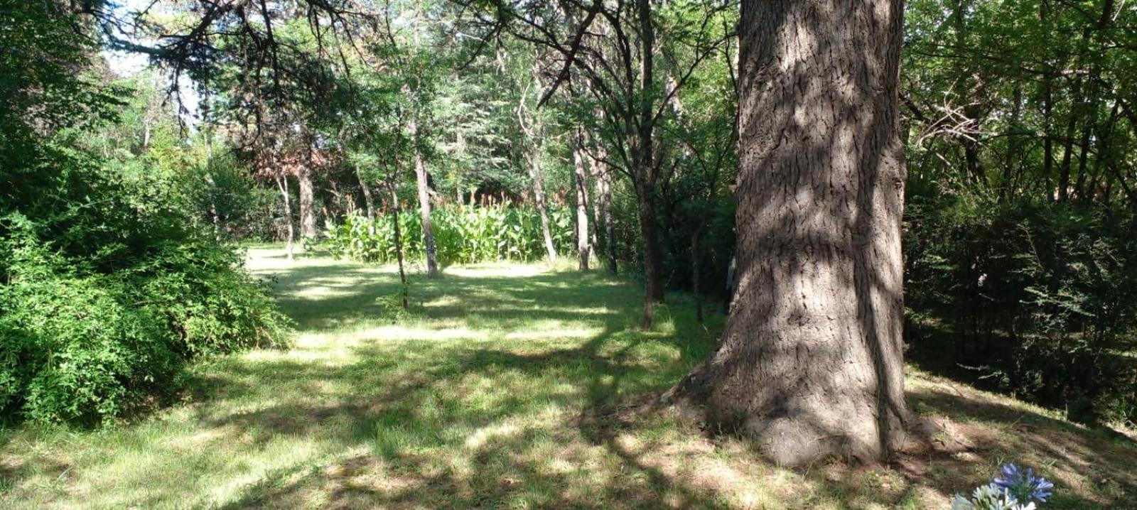 Cabana En Quinta La Aurora ミナ・クラベロ エクステリア 写真