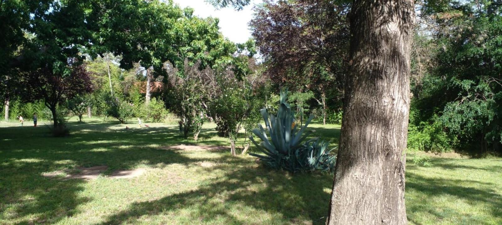 Cabana En Quinta La Aurora ミナ・クラベロ エクステリア 写真