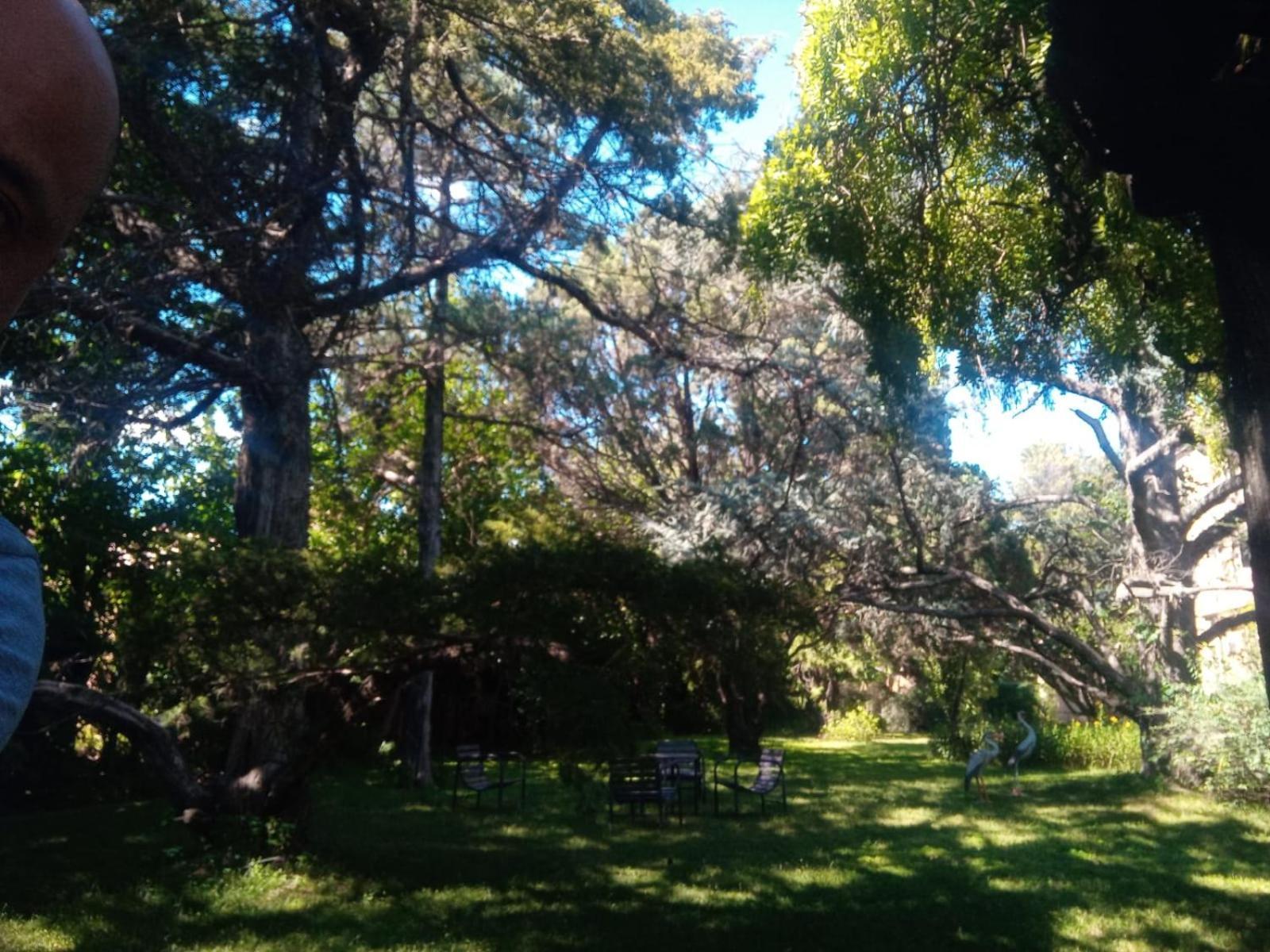 Cabana En Quinta La Aurora ミナ・クラベロ エクステリア 写真