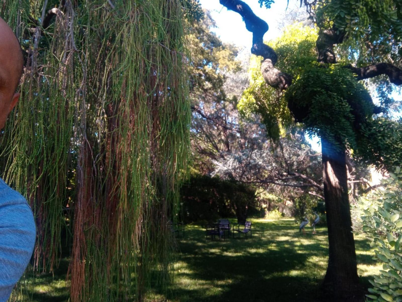 Cabana En Quinta La Aurora ミナ・クラベロ エクステリア 写真